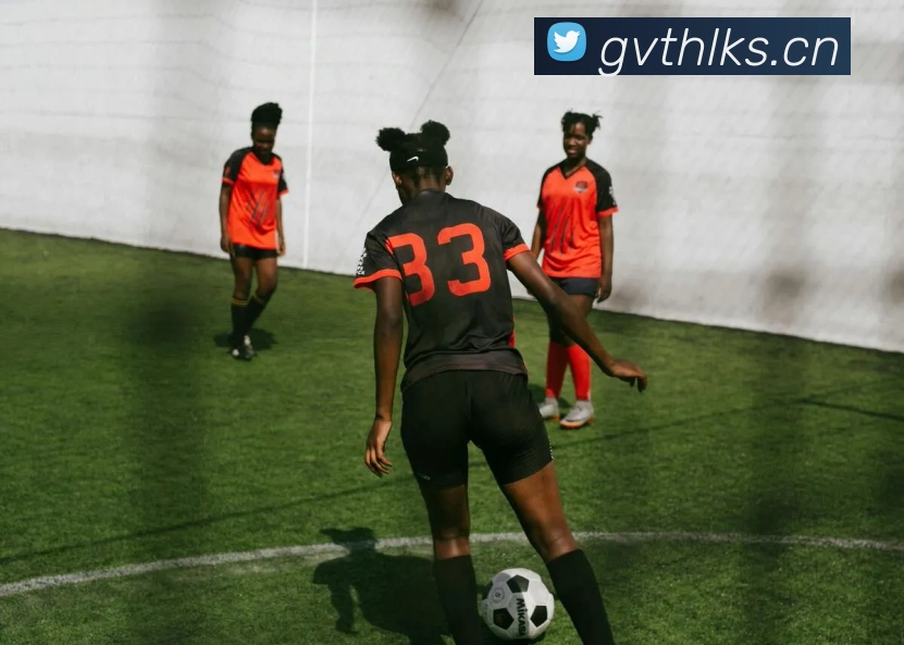 华体app登录入口发展历程